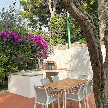 Pineta - House *
