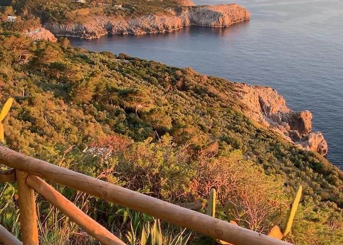 Pineta - House Vila *