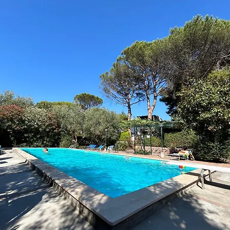 Pineta - House