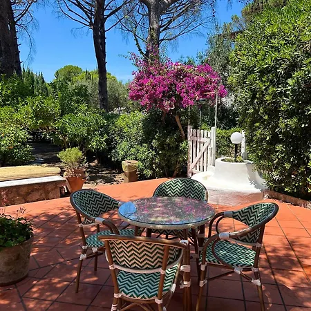 Vila Pineta - House