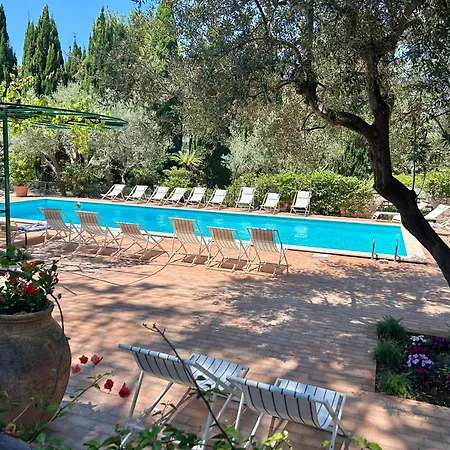 Pineta - House