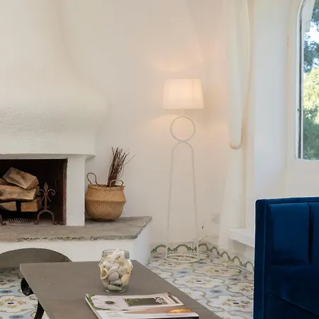 Pineta - House Willa *