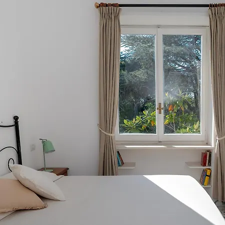 Willa Pineta - House Anacapri (Isola di Capri)