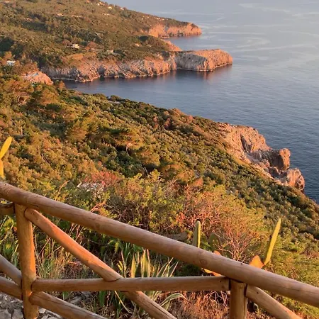 Pineta - House Willa *